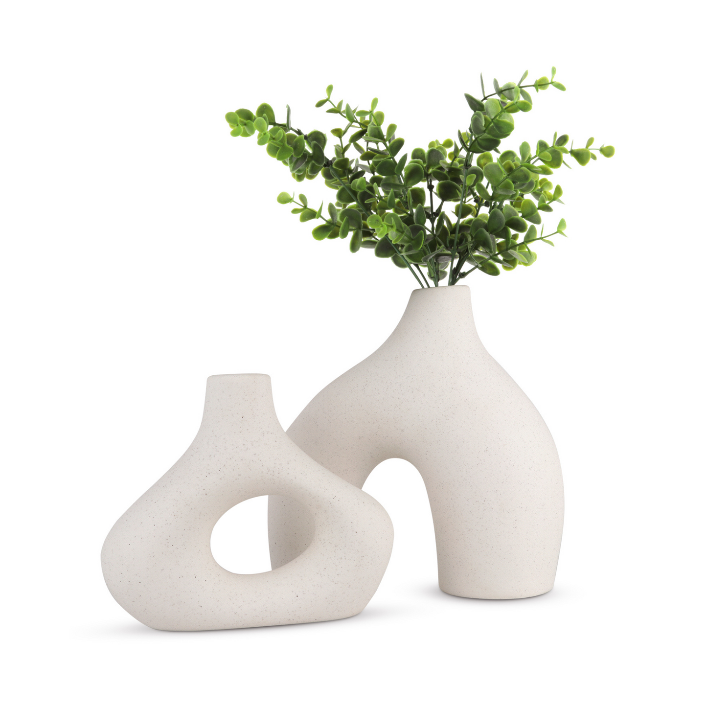 Pampas Grass Minimalist Ceramic Vase Set