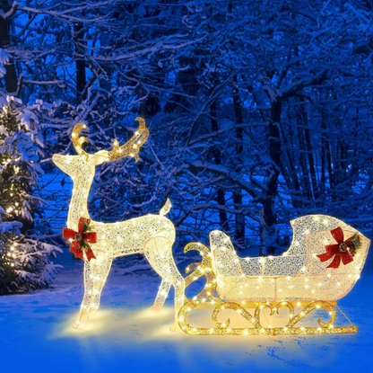 Christmas Lighted Reindeer & Santa's Sleigh Lighted Display