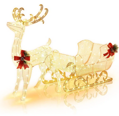 Christmas Lighted Reindeer & Santa's Sleigh Lighted Display